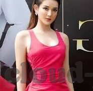 梅西世界杯结束图片-梅西世界杯之旅的终章，荣耀与挑战并存