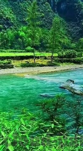 水果机手机-水果机与手机，一场跨界融合的奇妙之旅