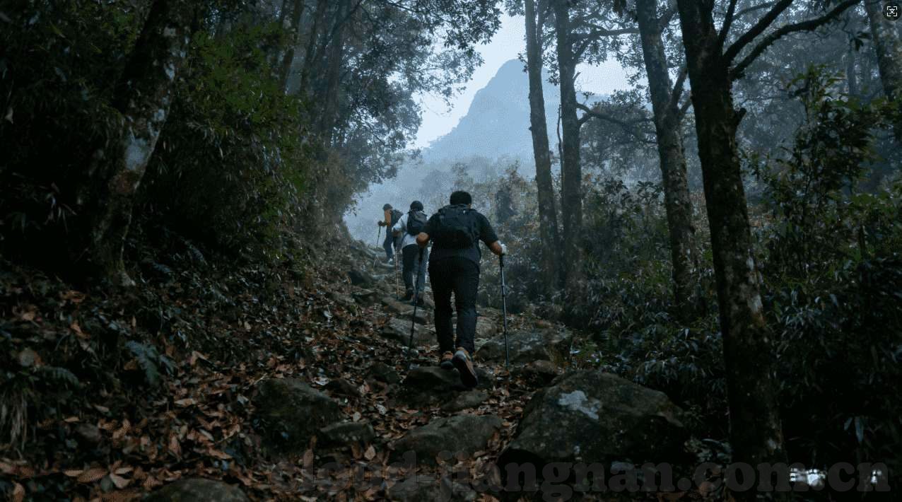 问鼎娱乐有几级代理-问鼎娱乐代理制度概览，多级代理架构下的娱乐产业版图